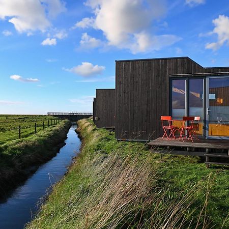 Tiny House Nature 9 Zur Kuhweide - Green Tiny Village Harlesiel Каролинензиль Экстерьер фото