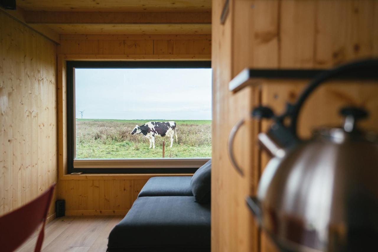 Tiny House Nature 9 Zur Kuhweide - Green Tiny Village Harlesiel Каролинензиль Экстерьер фото